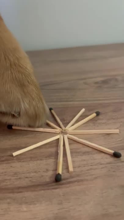 .Match That From A Star #shorts #lifehack