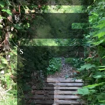 The Gentle Current - Tarot Reading