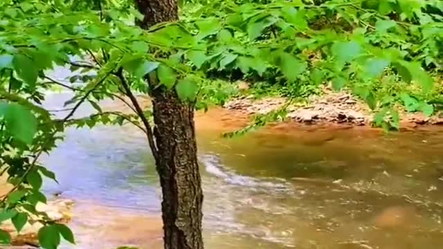 Beautiful recreational rural river