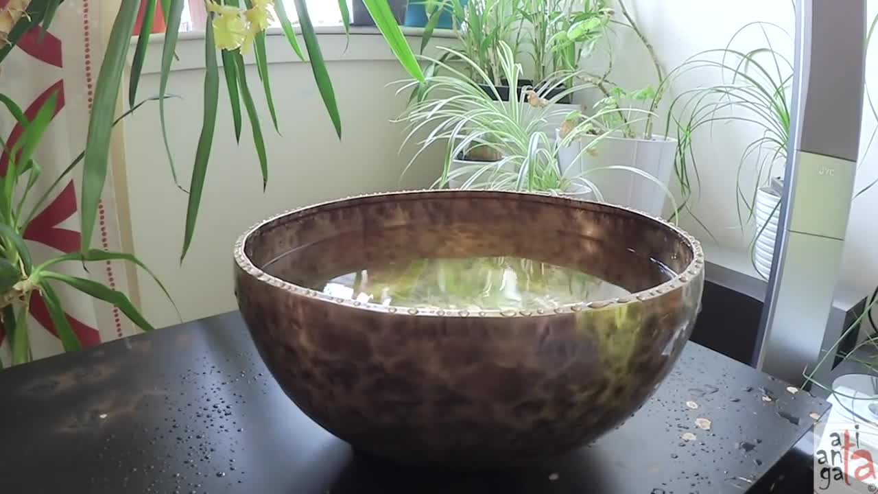 Singing bowl + water = fun!