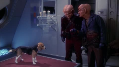 Beagle Life Form - Can you understand me?