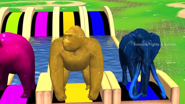 Animals Water Slide In Wooden in pipe Buffalo, Gorilla, Zombie T-Rex, Tiger, Hippopotamus, Elephant