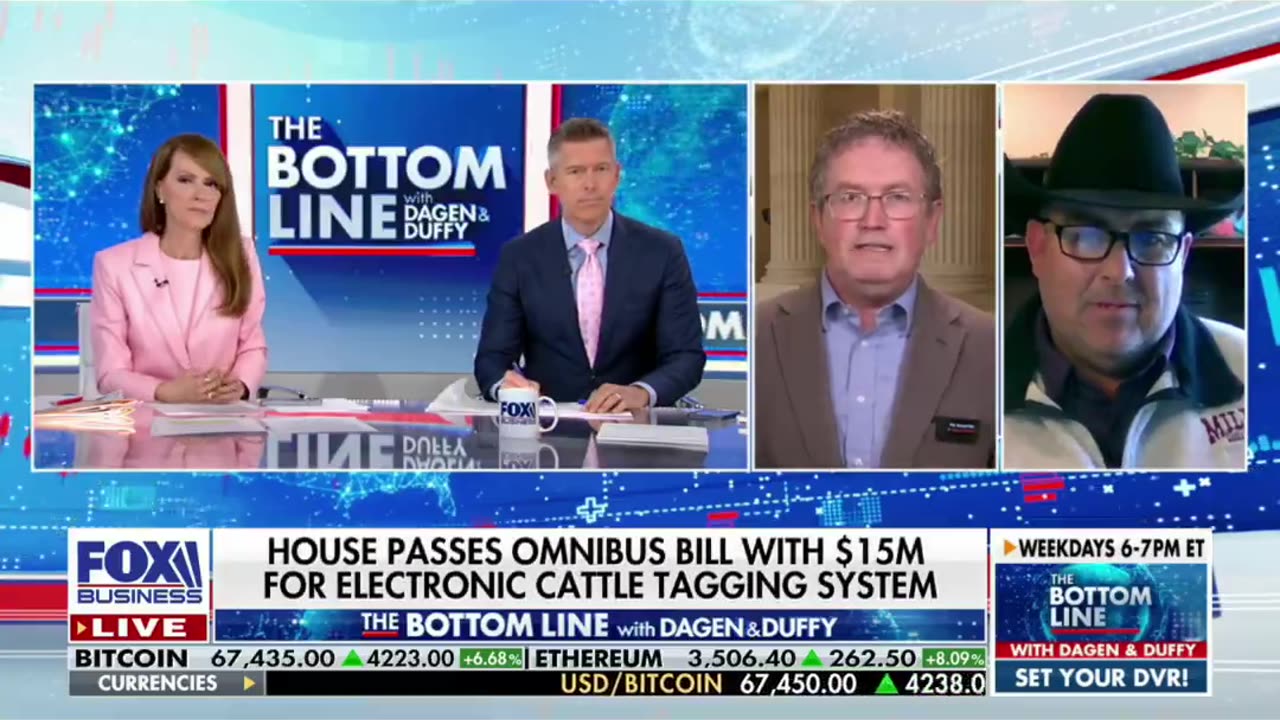 Rep Massie about them trying to electronically track cattle.