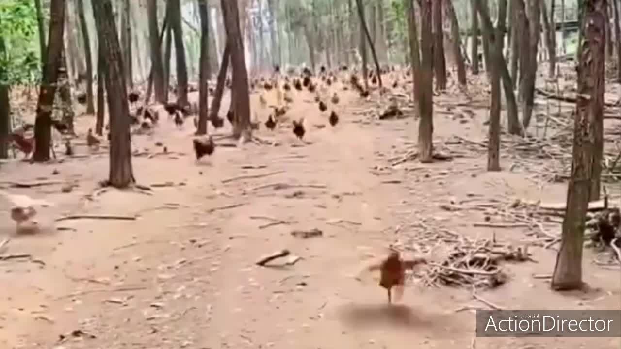 Go Up....