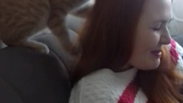 red cat fell in love with a red girl