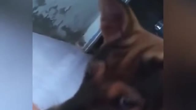 Bite, cut off my arm so no one will feed you