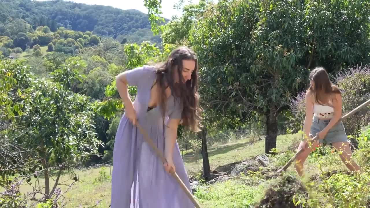 The garden is a mess