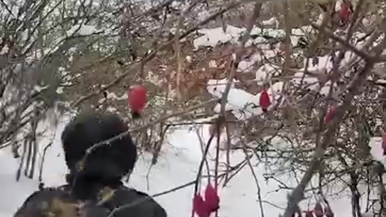 Building Shelter Alone Under Snow