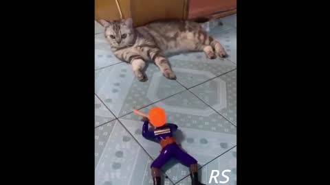 Dogs and Cats Funny and Cute Reaction to Toys Part 7