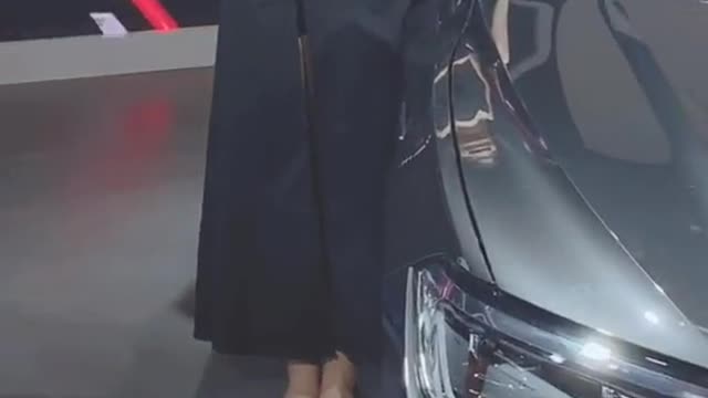 Volkswagen auto show, beautiful model, business car