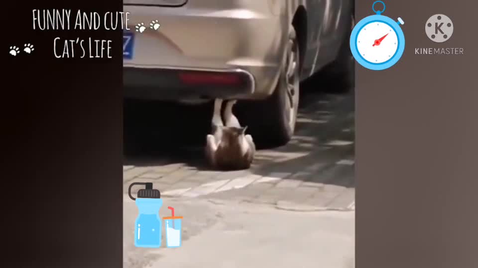 Exercise Mode πͺ is On πΈπΉ