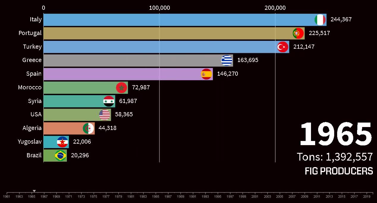 Top 10 Fig Producing Countries