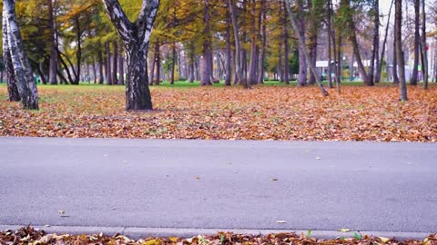 Insane Chainless Bicycle Prototype-1