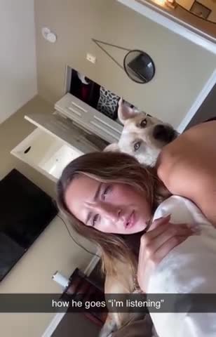 Smart Dog Listens and Pays Attention When Asked_by Owner