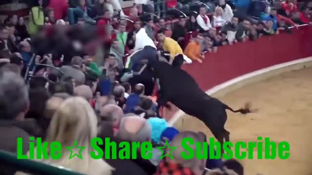 Dangerous Bull attack on people 2020 | Funny Fails