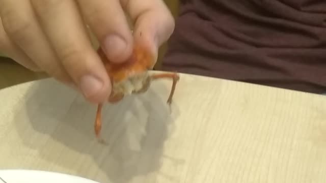 Funny eating lobster