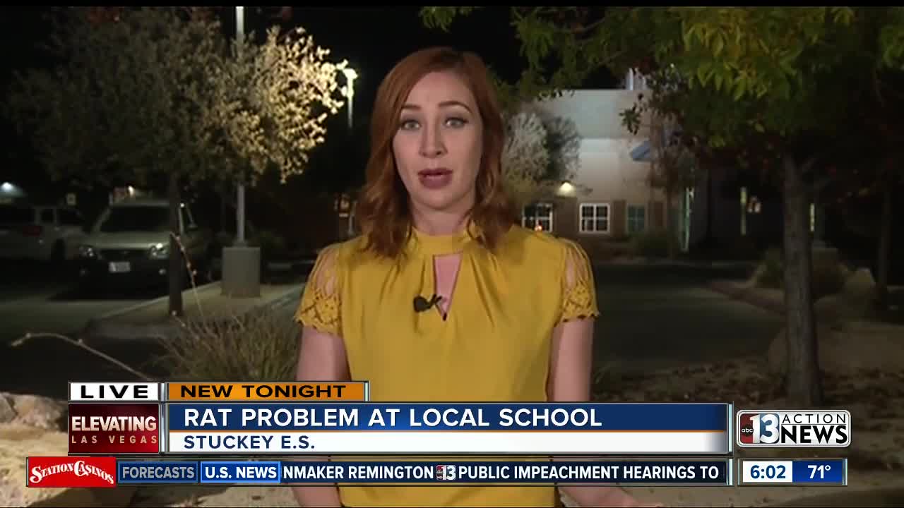 13 Action News reported rats at school to Health District before school