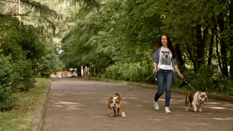 Pretty woman and her happy doggies together