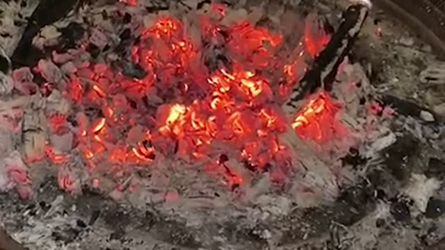 in firewood