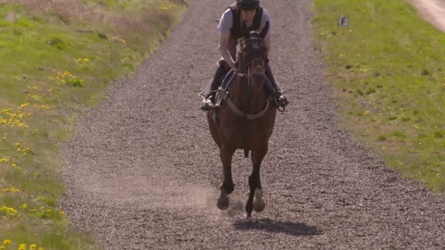 Horse riding for horse lovers. 🥰😍