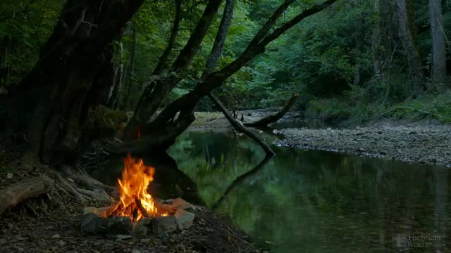 4K Campfire around river / Relaxing & Nature Sounds