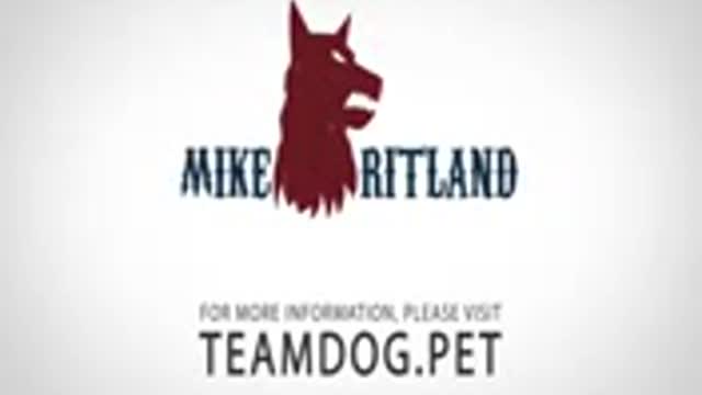 Dog training video