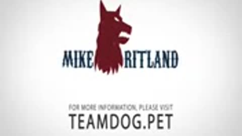 Dog training video