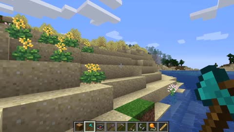 Minecraft vanilla skin version 1.17.1_Shorts_2