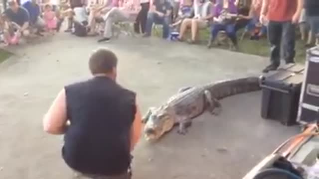 Man got bitten by a crocodile