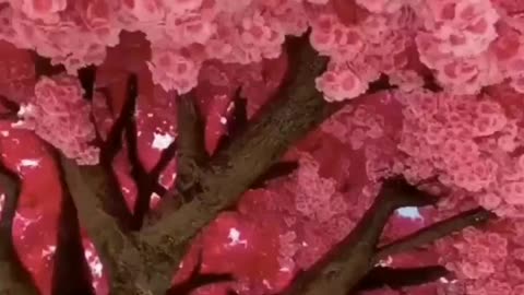 Awesome, Beautifull flowers wow #Heaven