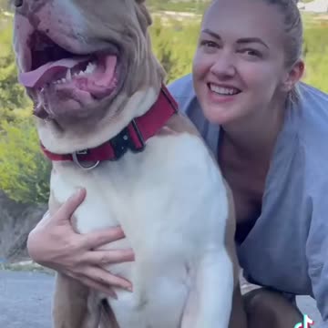 Dog vidoe and entertainment vidoe