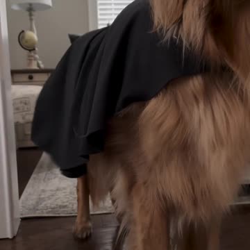 Nickelback is like Waffle House…everyone trashes it because they think it’s