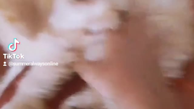 summer got angry