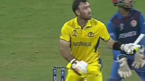 Maxwell very beautiful six makes nurel real