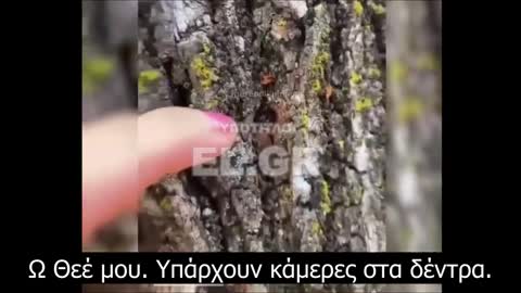 Κάμερες σε δέντρα κατασκοπεύουν τους Αυστραλούς διαδηλωτές. Ποιος παρακολουθεί;