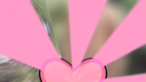 Dil tenu dey dita