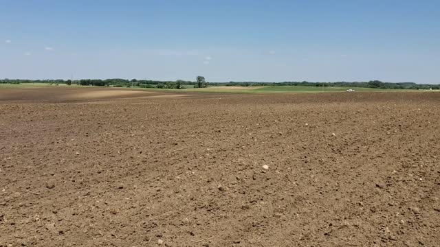 Planting Certified Organic Black Beans