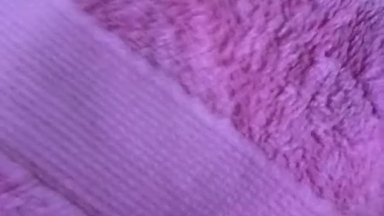 Schladchgkgofbronx - Bienvividsoliotitia