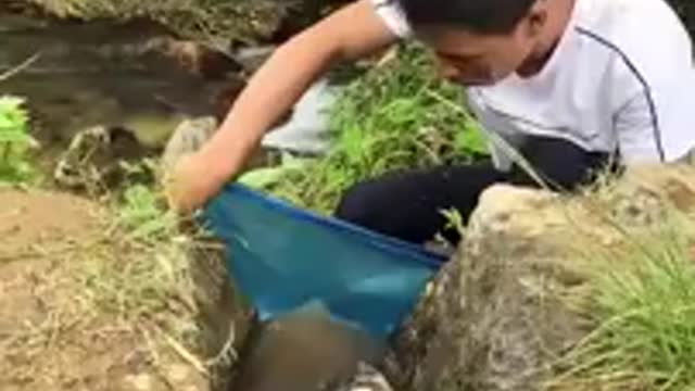 The Best Way To Fish The Fish 🐟😂
