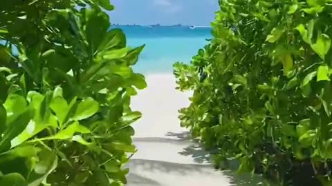 Let's look at the sea.