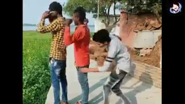 Funny Videos Compilation 123