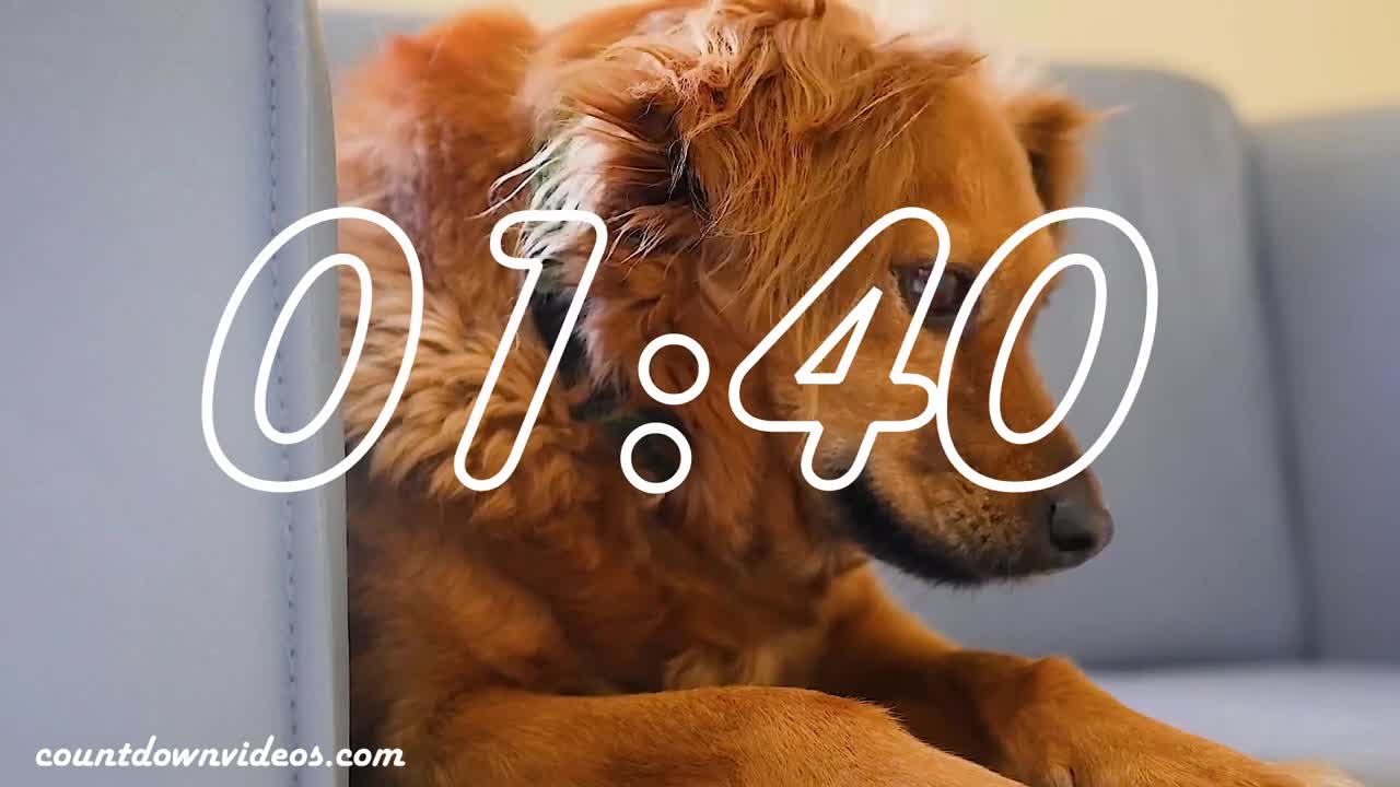 5 Minute Timer🐶🐶Cute Puppies & Puppy Music