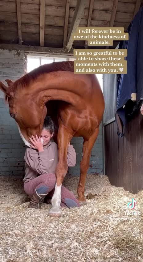 Anti-Loosh Video Number 70. LOOSH is real and bad. Explained below and watch the video!