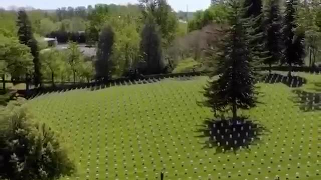 ALWAYS REMEMBER!!! - NEVER FORGET!!