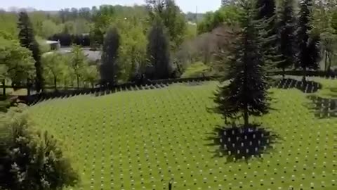 ALWAYS REMEMBER!!! - NEVER FORGET!!