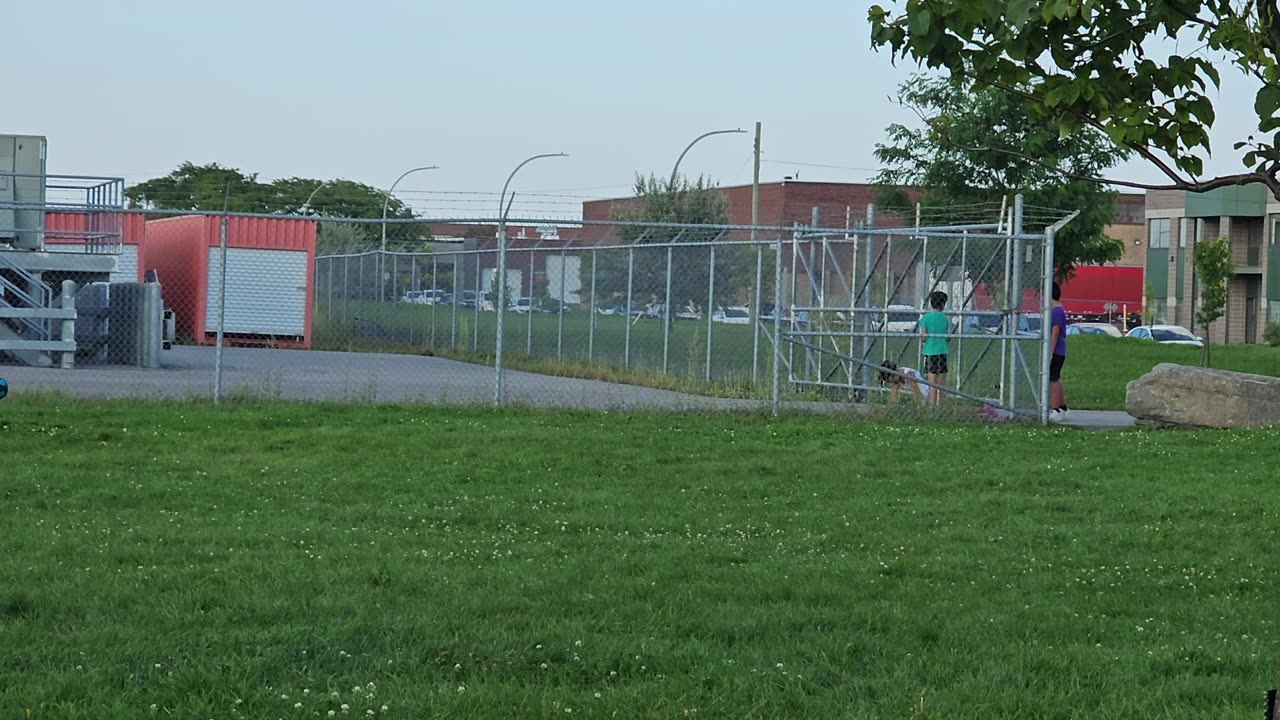 Entering A Restricted Area To Retrieve A Toy