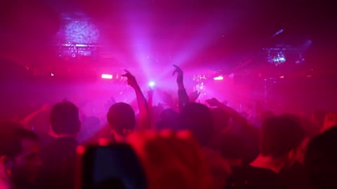 People Having Fun At A Concert -