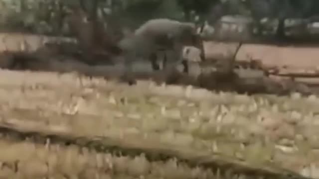 Dont make elephants angry