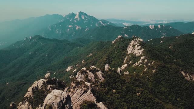 Tallest mountain in the world from base