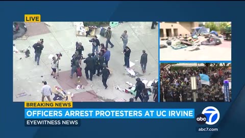 UC Irvine professor detained at pro-Palestinian protest speaks out